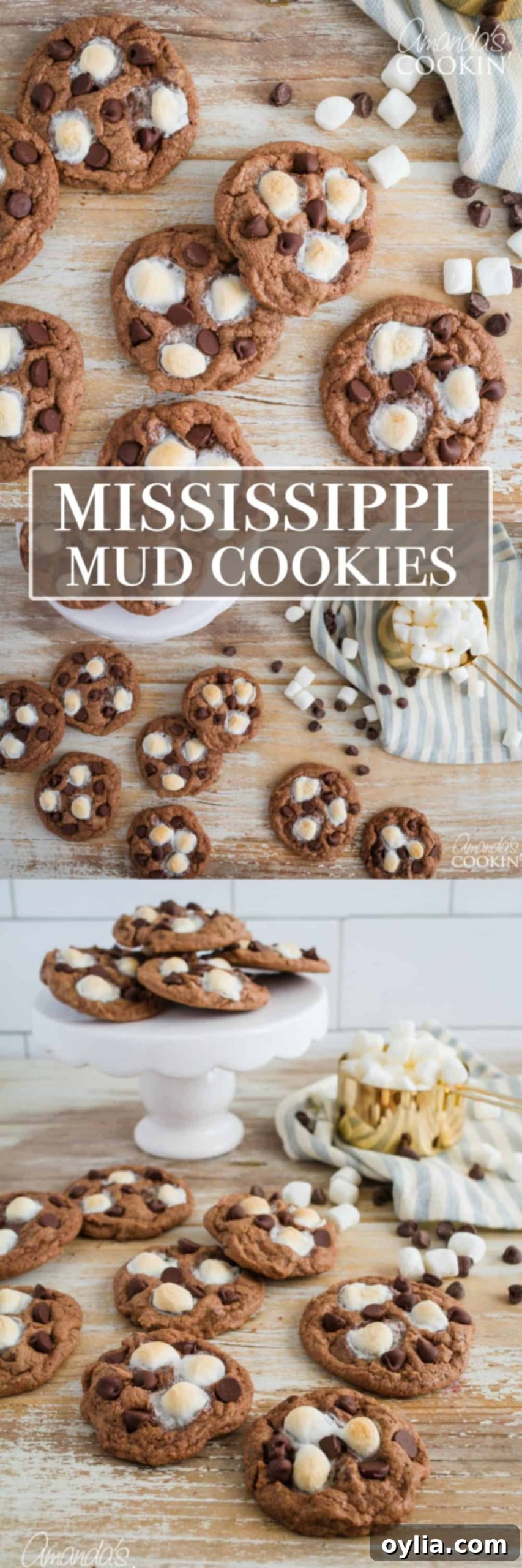 Decadent Mississippi Mud Cookies 7 pinterest image with text mississippi mud cookies