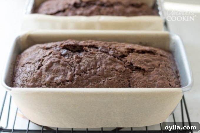 Two freshly baked loaves of chocolate zucchini bread