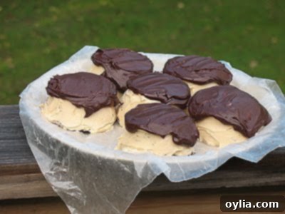 Double Peanut Butter Chocolate Cake 2 A photo of mini chocolate cakes with peanut butter frosting and chocolate peanut butter topping resting on a plate.