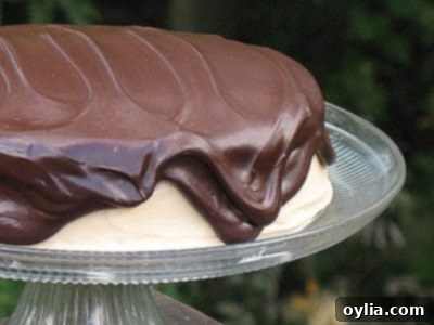 Double Peanut Butter Chocolate Cake 3 A close up photo of a chocolate cake with peanut butter frosting and chocolate peanut butter topping resting on a cake stand.
