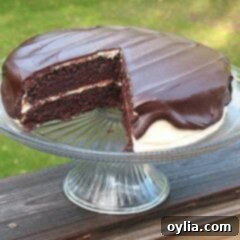Double Peanut Butter Chocolate Cake 4 A photo of a chocolate cake with peanut butter frosting and chocolate peanut butter topping resting on a cake stand with a slice removed.