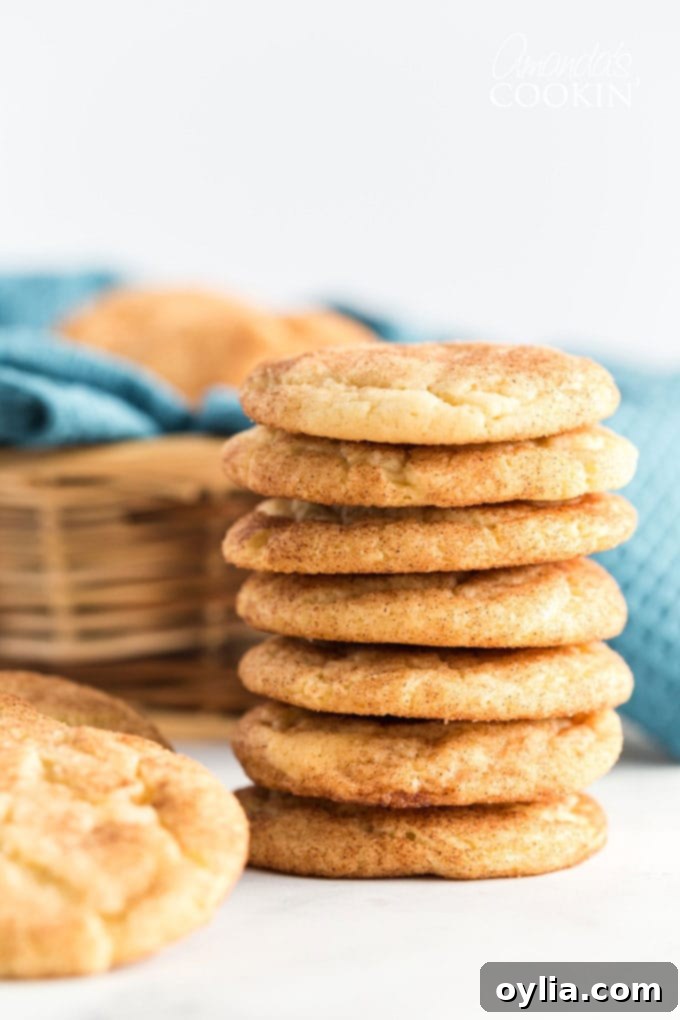 Pillowy Cinnamon Sugar Perfection 2 a stack of freshly baked snickerdoodles, soft and chewy