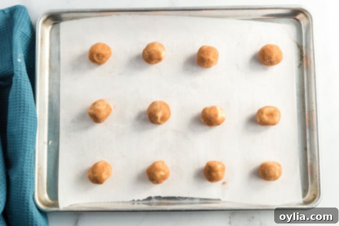 Pillowy Cinnamon Sugar Perfection 9 snickerdoodles cookie dough balls placed on a baking sheet
