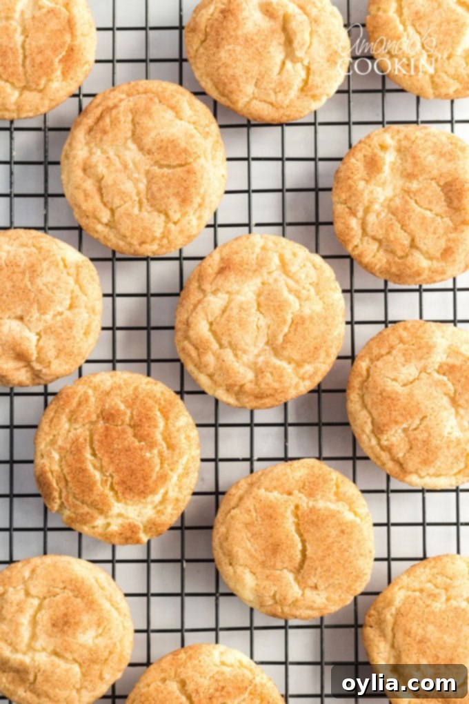 Pillowy Cinnamon Sugar Perfection 10 freshly baked snickerdoodles on a wire cooling rack