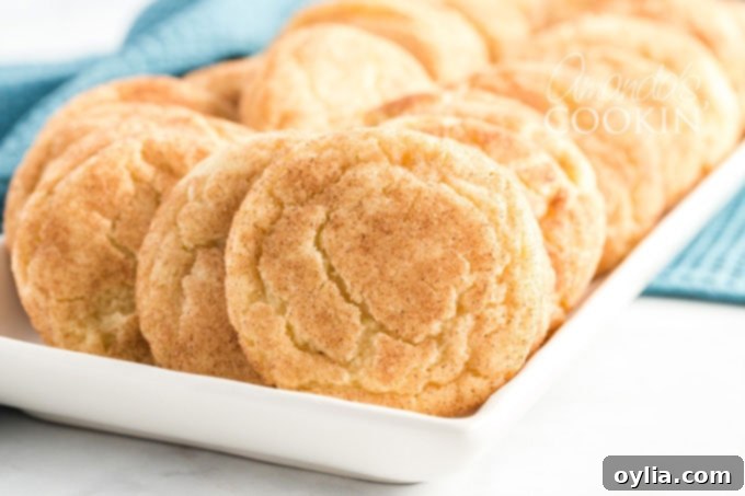Pillowy Cinnamon Sugar Perfection 11 snickerdoodles on a white plate