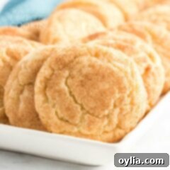 Pillowy Cinnamon Sugar Perfection 12 plate of snickerdoodles
