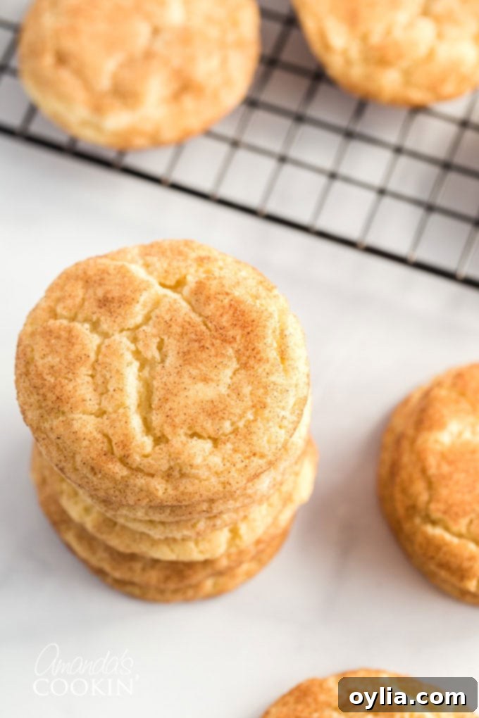 Pillowy Cinnamon Sugar Perfection 3 overhead view of a stack of snickerdoodle cookies with cinnamon sugar
