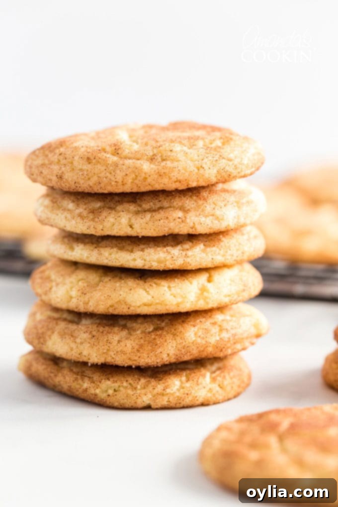 Pillowy Cinnamon Sugar Perfection 4 stack of snickerdoodles on a wire cooling rack