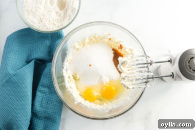 Pillowy Cinnamon Sugar Perfection 5 ingredients for snickerdoodles in a mixing bowl