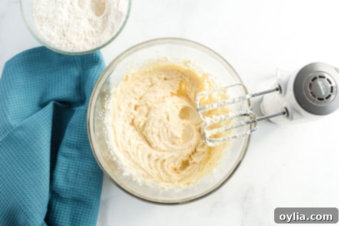 Pillowy Cinnamon Sugar Perfection 6 creamed cookie dough in a mixing bowl