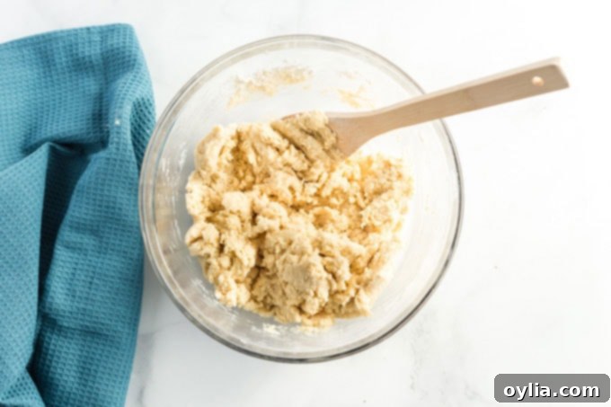 Pillowy Cinnamon Sugar Perfection 7 cookie dough coming together in a mixing bowl after adding dry ingredients