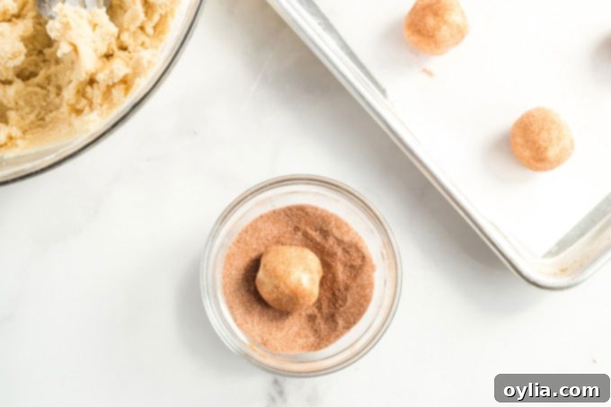 Pillowy Cinnamon Sugar Perfection 8 a cookie dough ball coated in cinnamon sugar