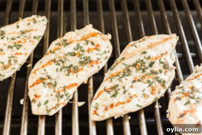 grilled chicken on the grill