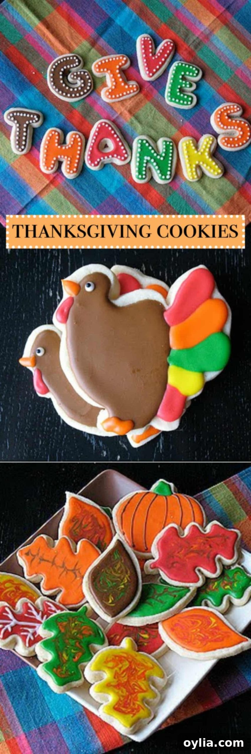 A close up photo of Thanksgiving cookies.
