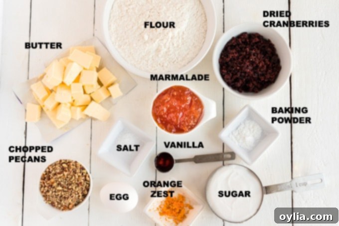 A collection of fresh ingredients laid out on a kitchen counter, including dried cranberries, pecans, a whole orange, butter, eggs, flour, and a jar of orange marmalade, ready for making spiral cookies.