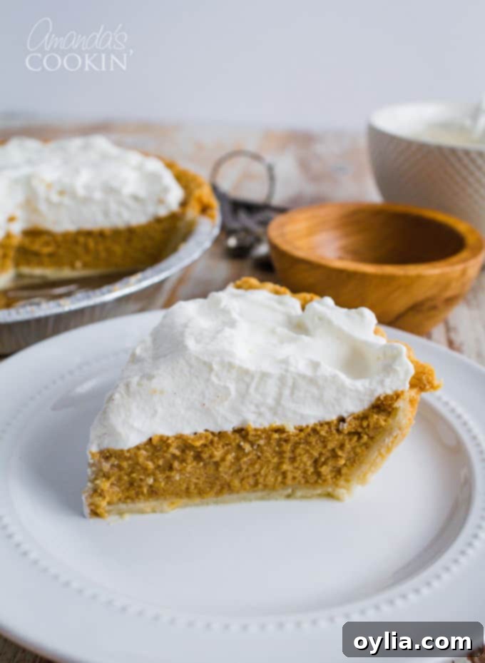 Perfect pumpkin pie slice with whipped cream
