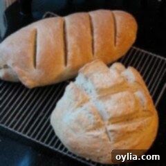 A photo of simple one hour homemade bread loaves, perfectly golden brown.