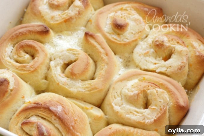 A pan of perfectly baked, golden-brown orange rolls, fresh out of the oven and unfrosted, ready for their sweet topping.