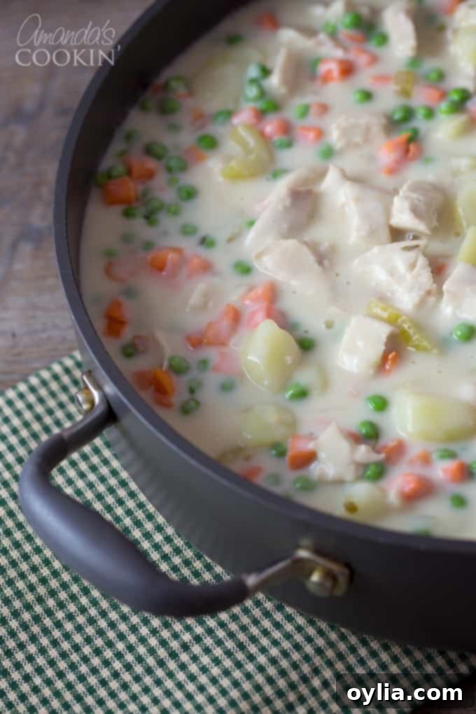 Homemade pot pie with a rich, delicious gravy cooked to perfection, bubbling around the edges.
