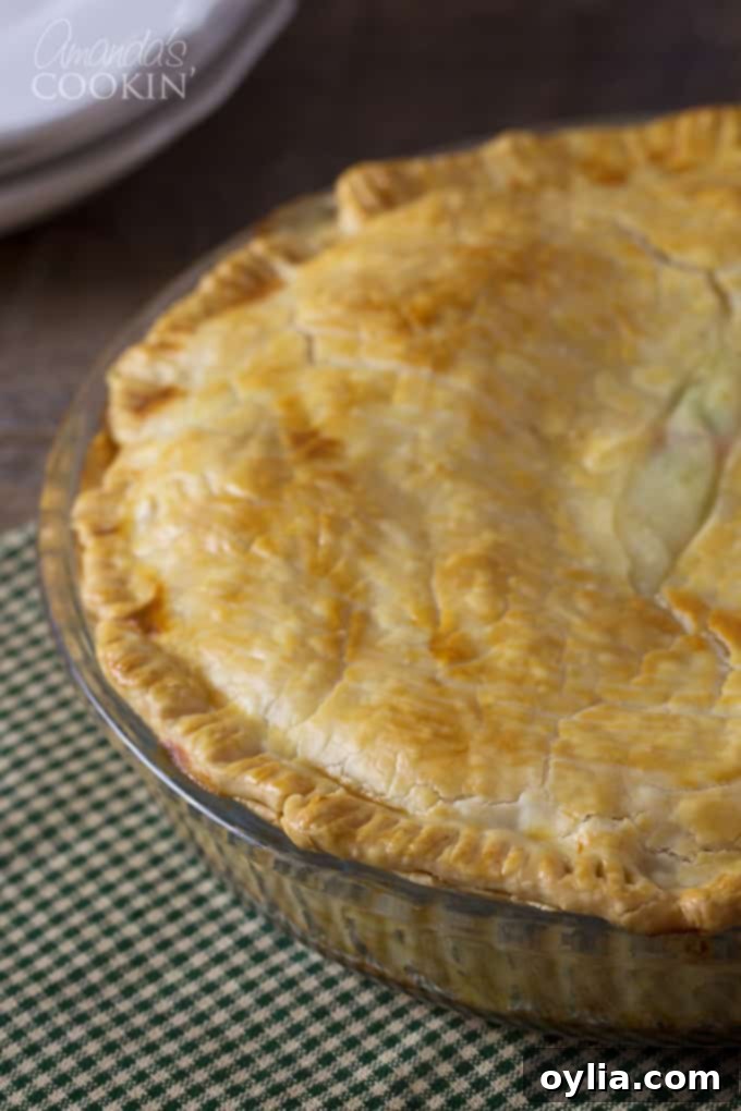 Homemade pot pie with a perfectly golden and flaky crust, fresh out of the oven.