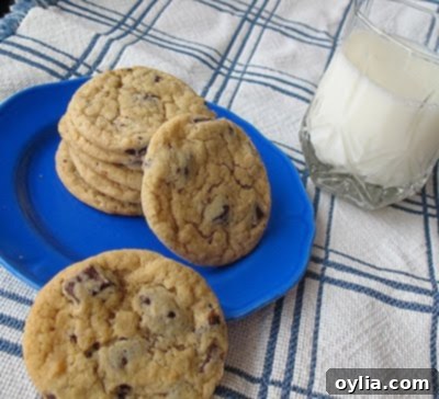 Buttermilk's Secret to Soft Chocolate Chip Cookies 5 Buttermilk Chocolate Chip Cookies - perfectly round, soft and chewy!