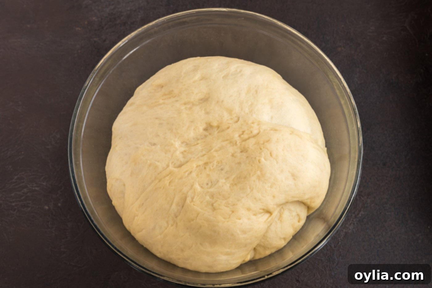 yeast dough after rising