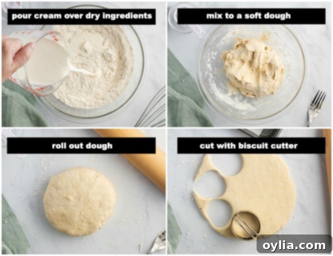 Step-by-step process of preparing biscuit dough: mixing, gently kneading, and using a biscuit cutter to shape them