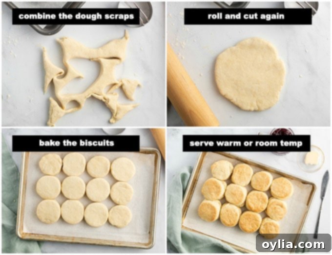 Biscuit dough scraps gathered for re-rolling and freshly cut biscuits arranged on a baking sheet, ready for the oven