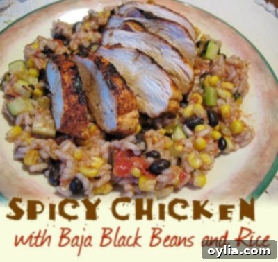 Spicy Grilled Chicken with Baja Black Beans and Rice