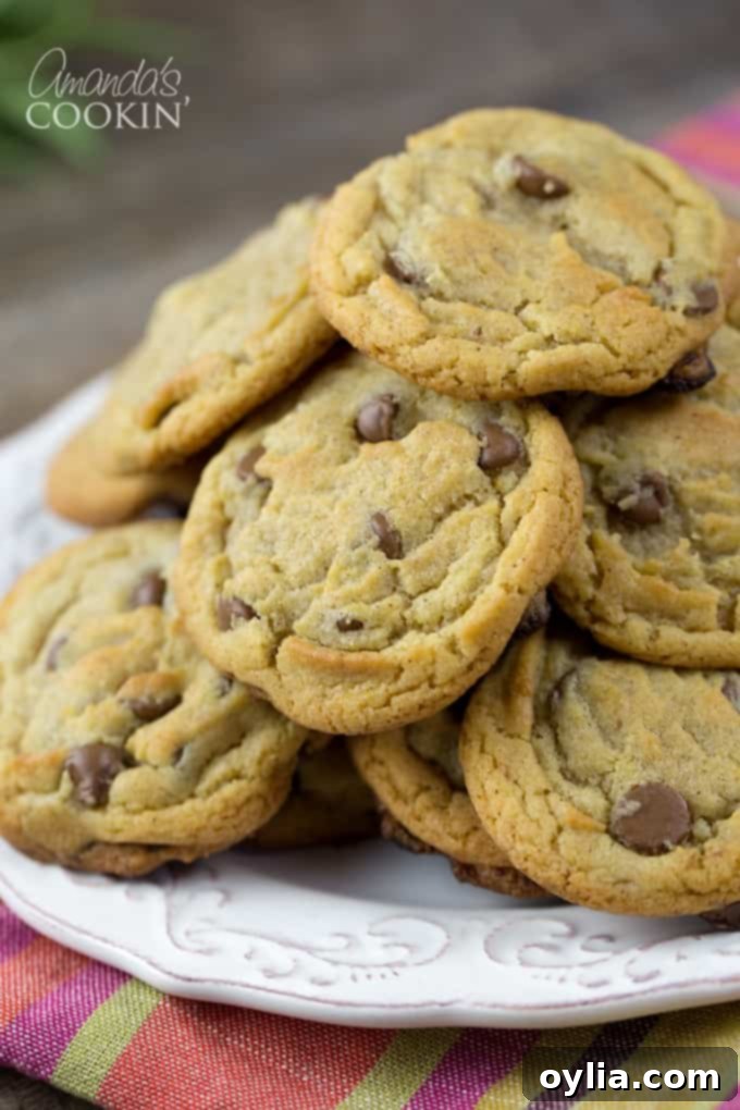 Cinnamon-Spiced Chocolate Chip Cookies 2 Amazing cinnamon chocolate chip cookies recipe