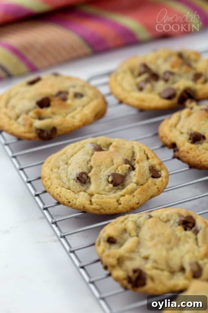 Cinnamon-Spiced Chocolate Chip Cookies 3 Perfectly soft and chewy cinnamon chocolate chip cookies!
