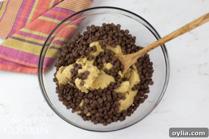 Cinnamon-Spiced Chocolate Chip Cookies 5 dough in a bowl with chocolate chips