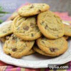 Cinnamon-Spiced Chocolate Chip Cookies 8 Chocolate Chip Cookies on a plate