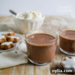 cup of Mexican hot chocolate, Champurrado