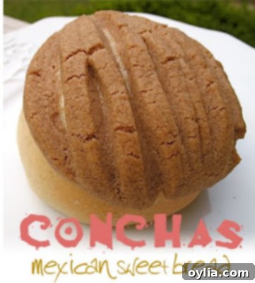 Conchas: Mexico's Beloved Sweet Bread 2 A close up photo of a concha resting on a plate, showcasing its beautiful shell-like cinnamon topping.
