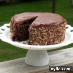 Chocolate Sauerkraut Cake