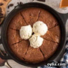 Perfectly cut cast iron skillet brownies topped with a generous scoop of vanilla ice cream, ready to be served and enjoyed.