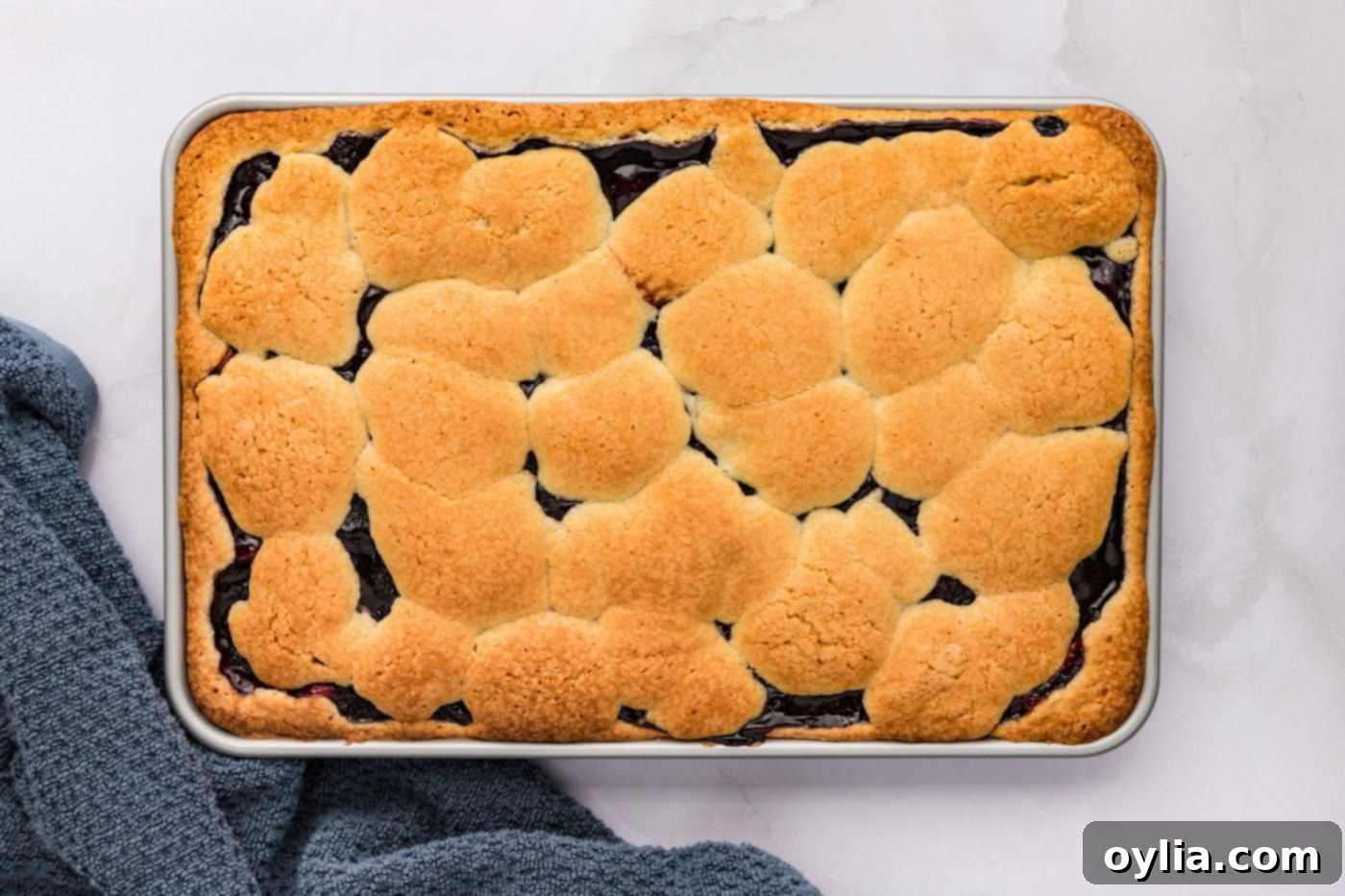 Overhead shot of freshly baked blackberry pie squares in a pan, golden brown