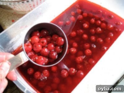 cherries