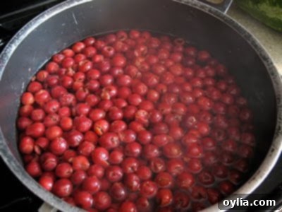 blanch the cherries