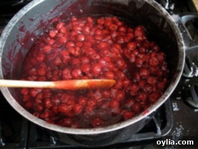 cooking sour cherries