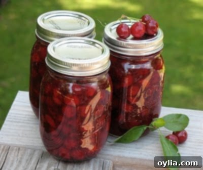 homemade cherry pie filling in jars