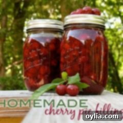 Perfect Homemade Cherry Pie Filling 19 A photo of two jars of homemade cherry pie filling.