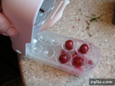 cherry pitter