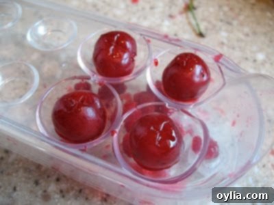 cherry pitter - removed pits