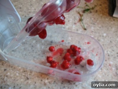 demonstrate cherry pitter