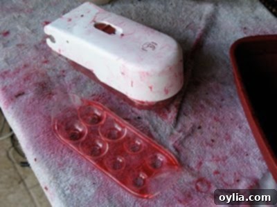 done with the cherry pitter