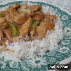 Chicken Scallion Stir Fry