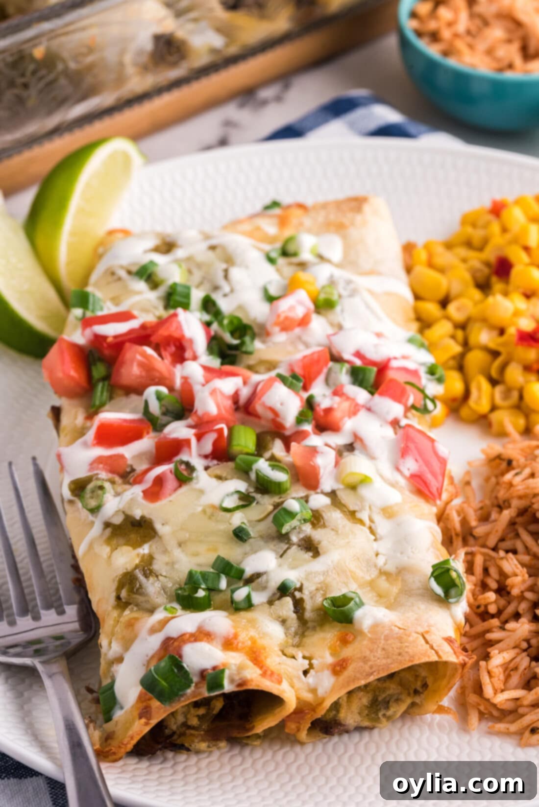 Plated Shredded Beef Enchiladas with rice on the side, showcasing the rich green chile sauce and melted cheese.