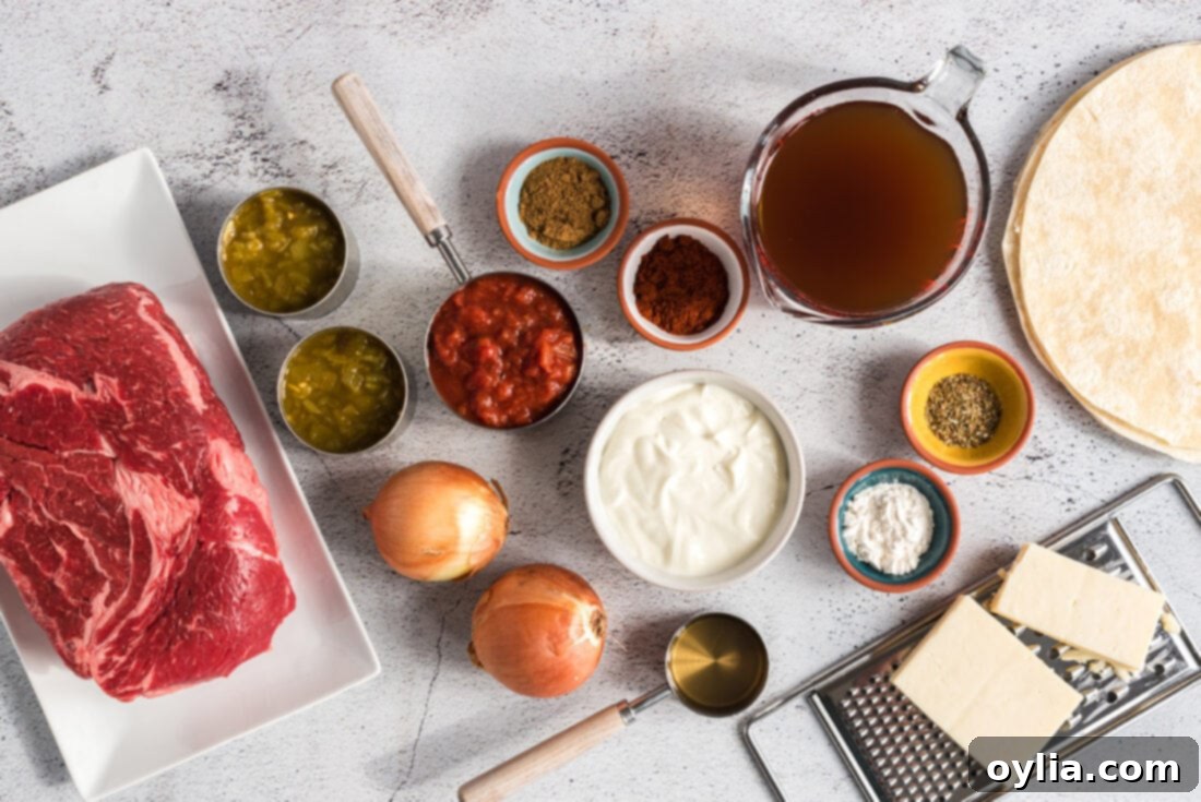 A collection of fresh ingredients laid out on a countertop, including chuck roast, onions, spices, cheese, and tortillas, ready for making Beef Enchiladas.